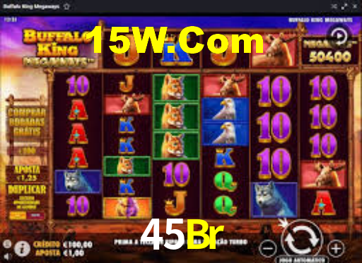 45Br Login